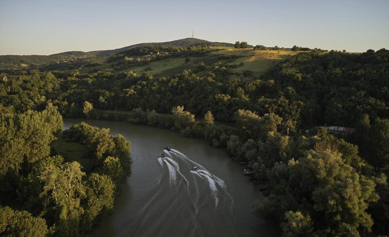 Henye Vendégház Bodrogkeresztur Exterior foto