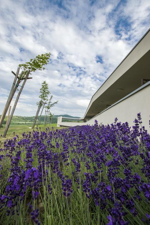 Henye Vendégház Bodrogkeresztur Exterior foto